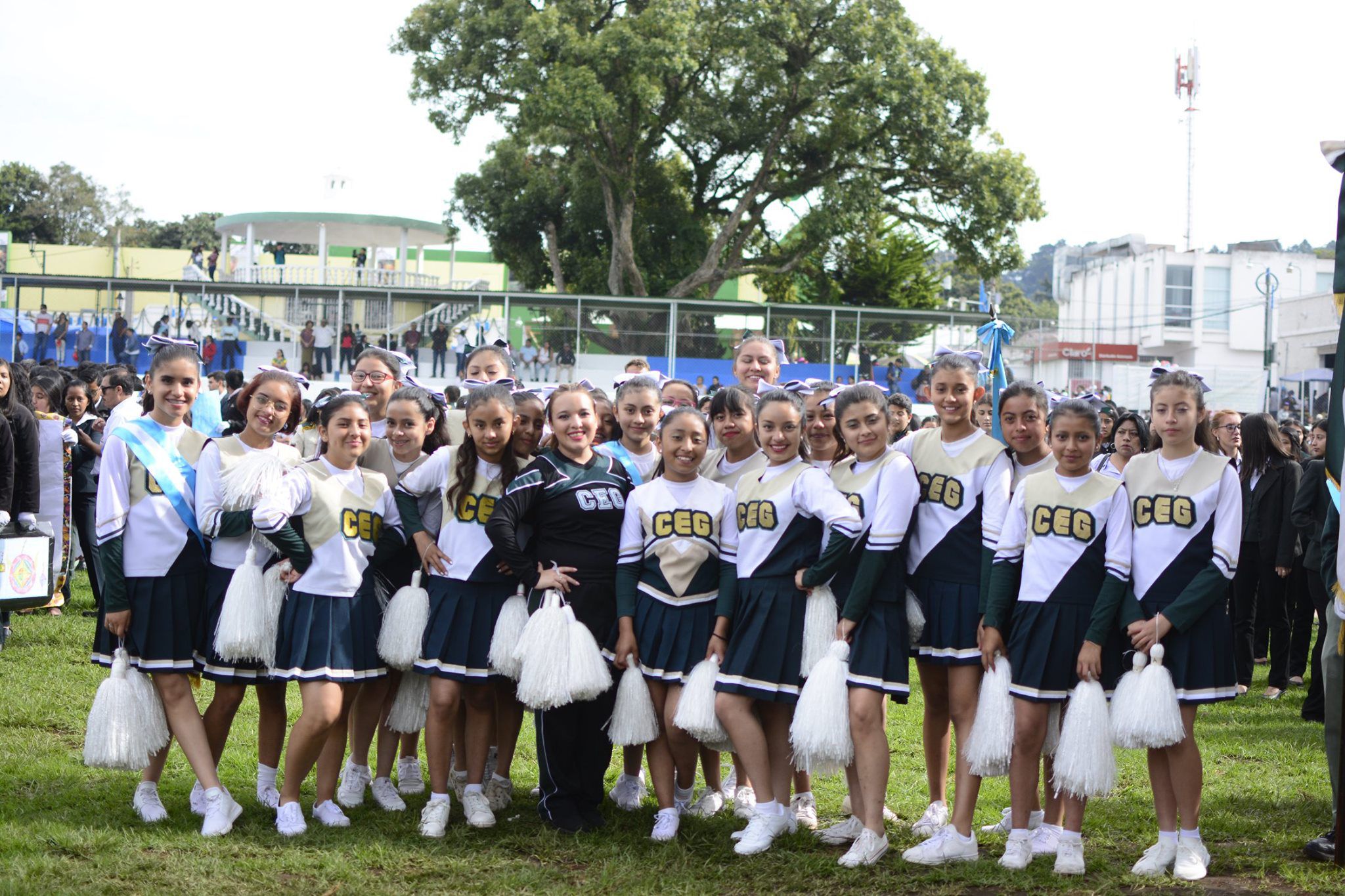 Texto de Odoo y bloque de imagen