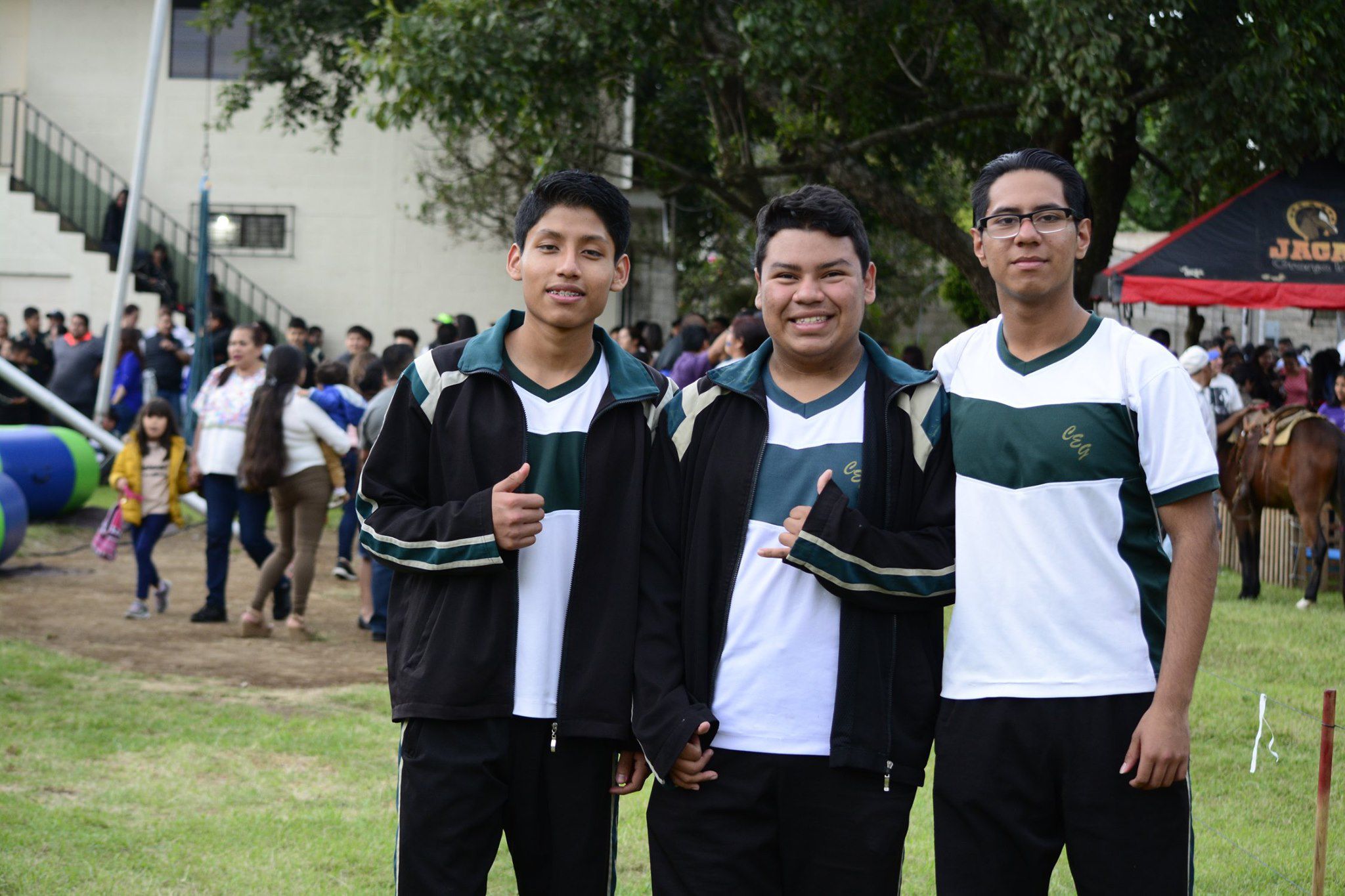 Texto de Odoo y bloque de imagen